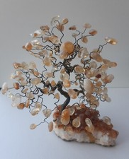 Feng shui baum gebraucht kaufen  Großwallstadt