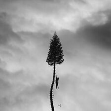 Manchester Orchestra - A Black Mile To The Surface [Used Very Good Vinyl LP] Dig segunda mano  Embacar hacia Mexico