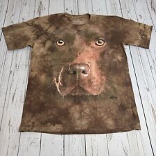 Big chocolate lab for sale  Waterloo