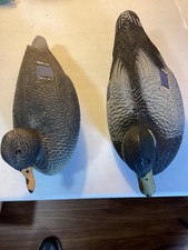 victor duck decoys for sale victor duck decoys for sale Manchester
