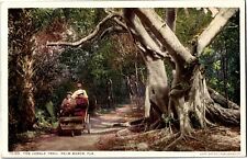 Pedicab jungle trail for sale  Kansas City