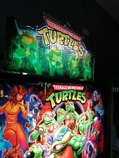 Flipper topper turtles usato  Acireale