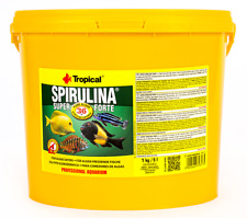 Tropical super spirulina usato  Spedire a Italy