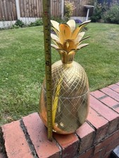 Large pineapple ice for sale  DERBY