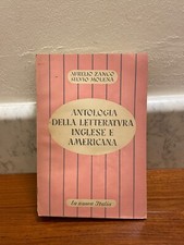 Libro zanco molena usato  La Spezia