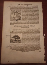 1575 sebastian munster usato  Roma