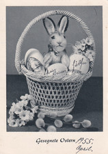 steiff hase gebraucht kaufen steiff hase gebraucht kaufen Einbeck