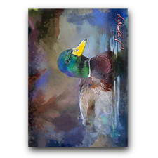 Mallard duck art for sale  Pasco