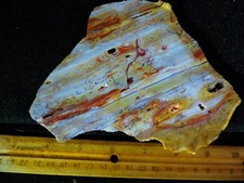 6.6 ounce huge for sale  Newman Lake