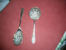 Sugar sifter spoon for sale  PETWORTH