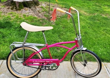 Vintage 1966 columbia for sale  East Earl