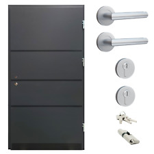 Ausstellungstür lm05 haustür gebraucht kaufen  Kamen