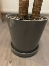 Ikea 19cm pot for sale  CROYDON