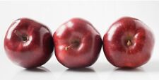 Red delicious apple for sale  Livingston