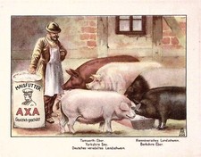 C1915 maisfutter axa for sale  Moneta