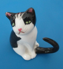 tuxedo cat b w for sale  Palm Coast
