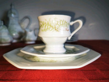 Sommerfarn kaffeegedeck gallo gebraucht kaufen  Stoltebüll