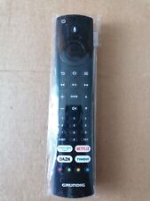 Riginal grundig ald187r gebraucht kaufen  Herzberg