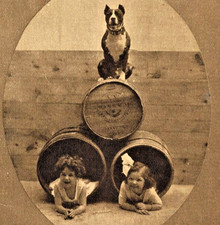 Vintage 1910 dog for sale  Philadelphia