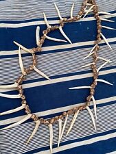 Tiger fish teeth for sale  PETERSFIELD