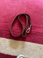 wainwright dog for sale wainwright dog for sale BOLTON