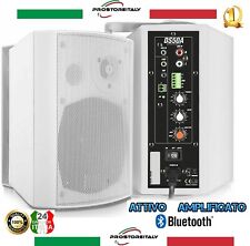 Coppia casse amplificate usato  Portoferraio