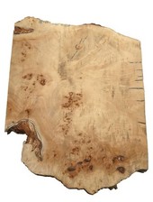 Pappel maser mapa gebraucht kaufen  Hamburg