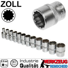 Tlg zoll stecknuss gebraucht kaufen  Remscheid