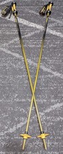 Ski poles exo for sale  Albany