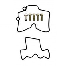 Carburetor repair kit for sale  BRIGHTON