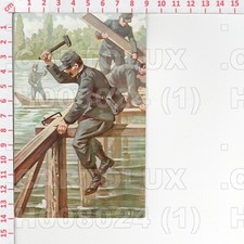 H8024 illustratore polli usato  Como