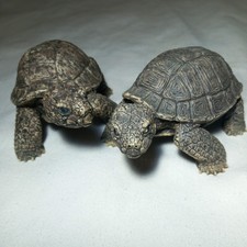 Tortoise figure toy for sale  SLOUGH