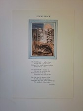 Ted hughes cat for sale  RIPON