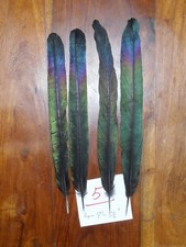 4 PLUMAS CENTRALES DE LA COLA DE URRACA DE 8 "A 8.5" NATIVO AMERICANO ATANDO MOSCAS ART & CRAFT  segunda mano  Embacar hacia Mexico