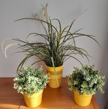 Kunstpflanzen fejka regano gebraucht kaufen Kunstpflanzen fejka regano gebraucht kaufen  Sauerlach