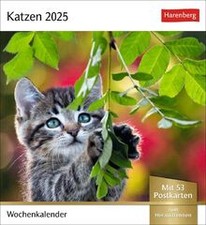 Katzen postkartenkalender 2025 gebraucht kaufen  Berlin