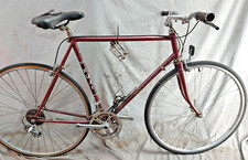 1982 fuji sagres for sale  Madison