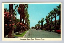 Cartão postal antigo Galveston TX-Texas, cena de rua residencial, palmeiras comprar usado  Enviando para Brazil