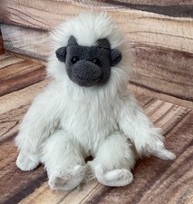 Tamirin monkey dowman for sale  DORCHESTER