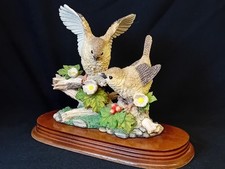 Leonardo nature studies for sale  UCKFIELD