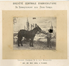 Bourgoin. niort concours d'occasion  Pagny-sur-Moselle