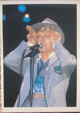 David bowie rex usato  Torino