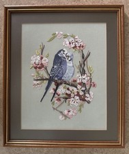 Stunning handcrafted budgies for sale  NEWPORT