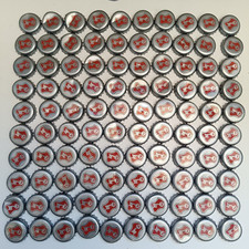 100 beer bottle for sale  BRISTOL