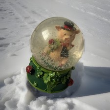 Schneekugel glücksschwein mar gebraucht kaufen  Rheinmünster