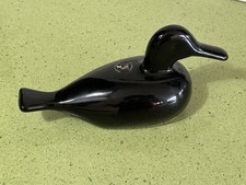 Oiseau canard noir d'occasion  La Seyne-sur-Mer