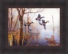 Backwater jim hansel for sale  Onamia
