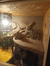 Terrarium rückwand 120x60 gebraucht kaufen  Meersburg