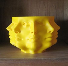 Face sculpture. unique for sale  Falls Church