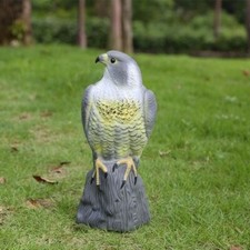 Large falcon pest for sale  SWINDON